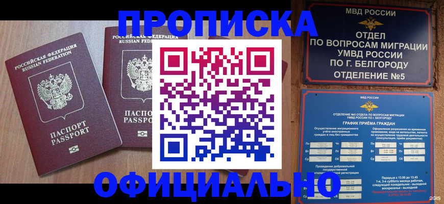 найти адрес прописки в Старой Купавне